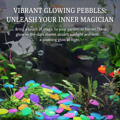 upsell-Hjmeta®🔥Buy 1000 Get 1000 Free🔥Luminous Stones for Garden & Home Decoration (Copy)