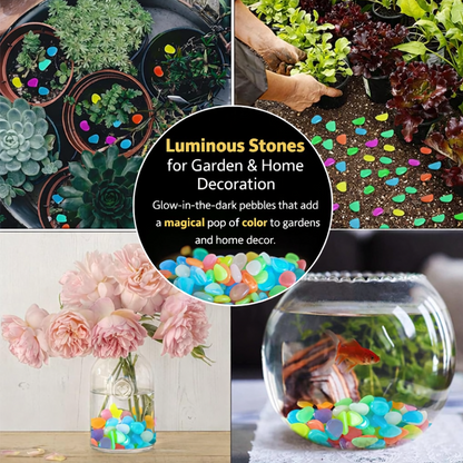 upsell-Hjmeta®🔥Buy 1000 Get 1000 Free🔥Luminous Stones for Garden & Home Decoration (Copy)