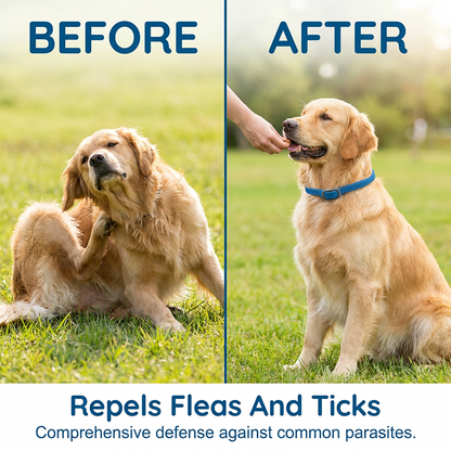 🐕Natural Essential Oil Pet Pest Repellent Collar
