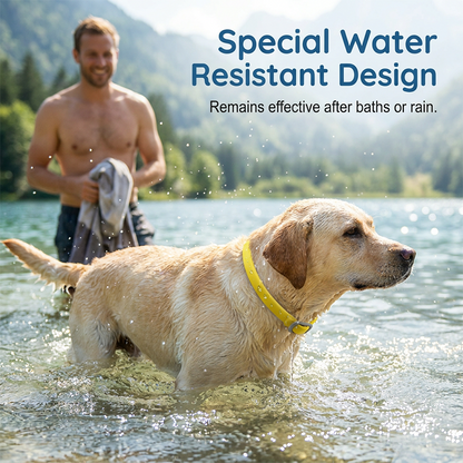 🐕Natural Essential Oil Pet Pest Repellent Collar